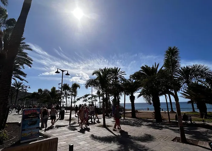 Estudio En Cristianos Edificio Guayero * Los Cristianos (Tenerife)